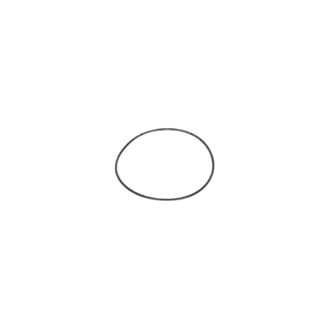 10177806 O-Ring
